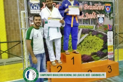 BRASILEIRO14-20170612-151247associacao-mangueira